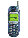 Best available price of Motorola T190 in Vanuatu